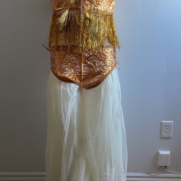 Vintage Middle Eastern Halloween Costume Veil - Picture 10 of 10